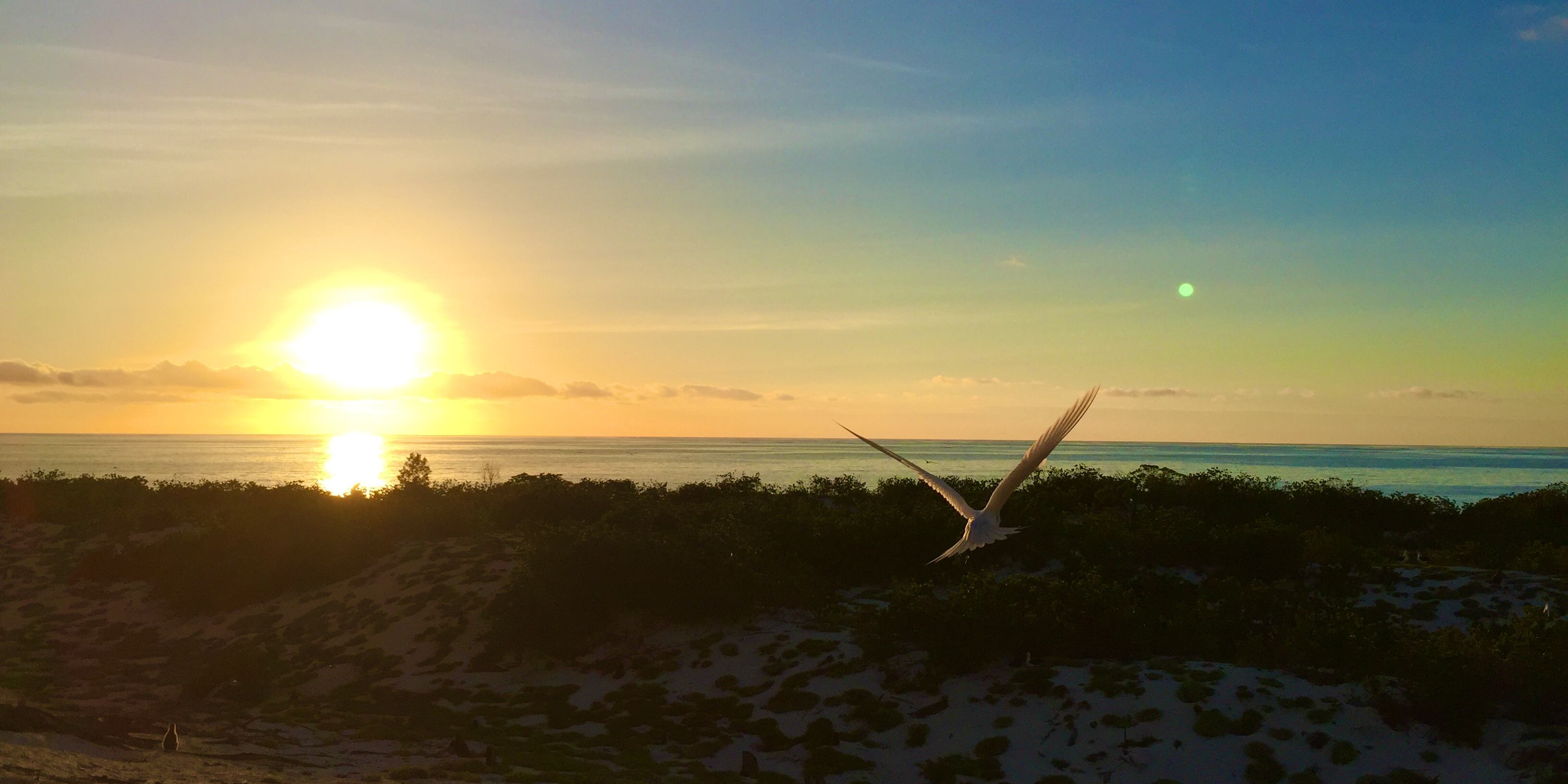 Sunset at Midway Atoll